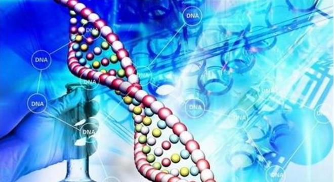 中國生物醫(yī)藥產(chǎn)業(yè)發(fā)展藍皮書：五大生物技術(shù)領(lǐng)域?qū)⒊蔀槲磥懋a(chǎn)業(yè)發(fā)展重點