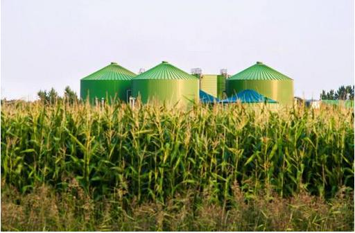 生物質(zhì)能源是作為理想的替代能源，將迎來爆發(fā)性的快速發(fā)展