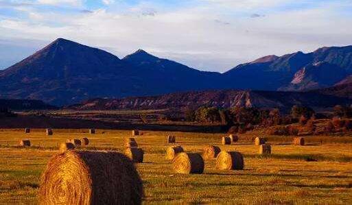 生物質(zhì)發(fā)電作為新世紀(jì)的可替代能源之一，發(fā)展?jié)摿驮鏊賹⒂瓉砀叻???