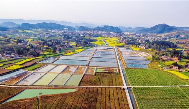 河北省政府出臺《關(guān)于做大做強(qiáng)農(nóng)業(yè)產(chǎn)業(yè)化龍頭企業(yè)的意見》，提出河北省農(nóng)業(yè)產(chǎn)業(yè)化發(fā)展目標(biāo)