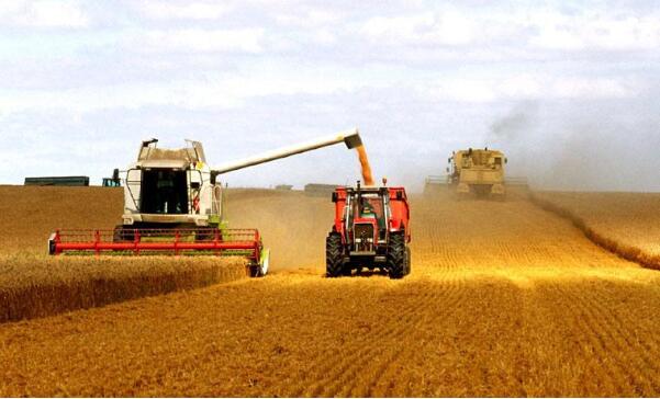 秋糧連續(xù)第六年糧食產(chǎn)量穩(wěn)定在6億噸，有信心應(yīng)對國內(nèi)外各種經(jīng)濟風險?