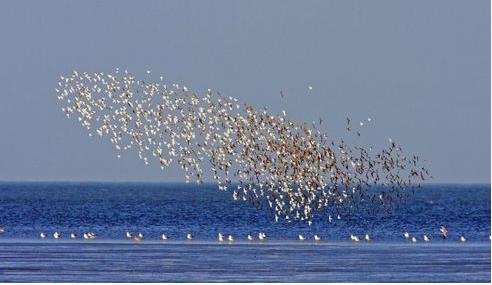 三部委：到2020年，渤海近岸海域水質(zhì)優(yōu)良比例達(dá)到73%左右?