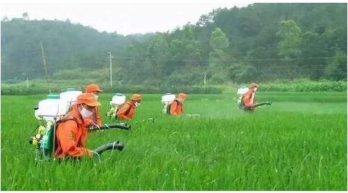 農(nóng)藥行業(yè)仍然具有較大的發(fā)展空間，高效、低毒、低殘留將是其發(fā)展方向