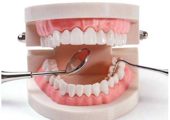 我國的口腔醫(yī)療產(chǎn)業(yè)是具有巨大潛力的市場(chǎng)