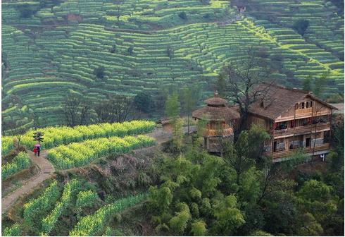 江西省扶貧辦：對269個深度貧困村共投入22.32億元，為深度貧困村脫貧退出提供支持?