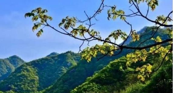 陜西省政府：印發(fā)《秦嶺生態(tài)環(huán)境保護行動方案》，持之以恒有效保護秦嶺這一國家重要生態(tài)安全屏障