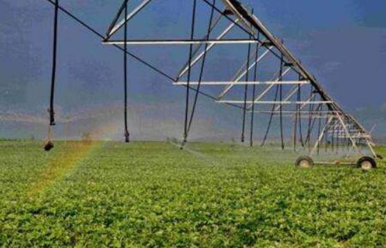 中共中央辦公廳、國(guó)務(wù)院辦公廳印發(fā)《關(guān)于促進(jìn)小農(nóng)戶和現(xiàn)代農(nóng)業(yè)發(fā)展有機(jī)銜接的意見(jiàn)》