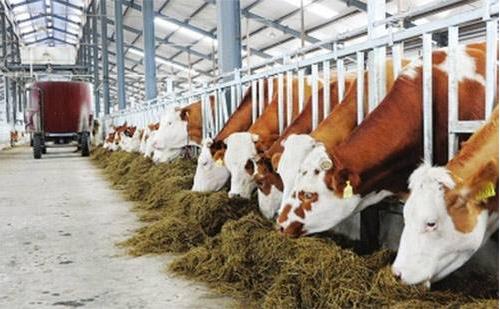 專業(yè)化、環(huán)?；?、集約化和規(guī)?；切竽翗I(yè)發(fā)展必然趨勢