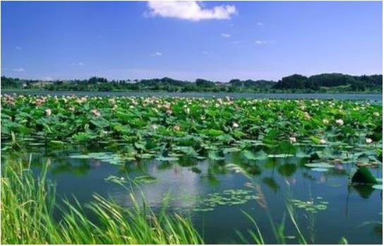 河北省生態(tài)環(huán)境廳：構(gòu)建系統(tǒng)治理、協(xié)同治理大格局，全力推進(jìn)雄安新區(qū)水生態(tài)環(huán)境治理與修復(fù)