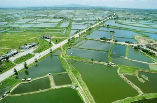 農(nóng)業(yè)農(nóng)村部等10部委聯(lián)合印發(fā)《關(guān)于加快推進(jìn)水產(chǎn)養(yǎng)殖業(yè)綠色發(fā)展的若干意見》