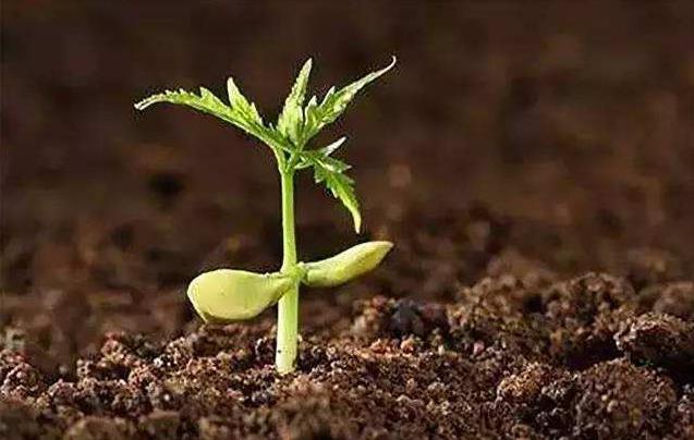 2019年土壤修復行業(yè)發(fā)展分析