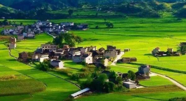 去年全國鄉(xiāng)村旅游總?cè)舜螢?0.9億人次，同比增加9.7%