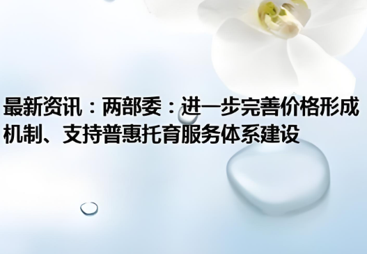 國(guó)發(fā)改委有關(guān)負(fù)責(zé)同志就《關(guān)于進(jìn)一步完善價(jià)格形成機(jī)制、支持普惠托育服務(wù)體系建設(shè)的通知》答記者問(wèn)