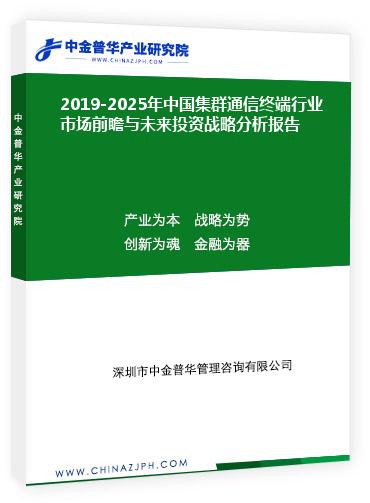 2019-2025年中國集群通信終端行業(yè)市場前瞻與未來投資戰(zhàn)略分析報(bào)告