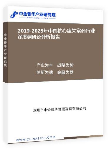 2019-2025年中國抗心律失常藥行業(yè)深度調(diào)研及分析報告