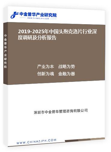 2019-2025年中國(guó)頭孢克洛片行業(yè)深度調(diào)研及分析報(bào)告