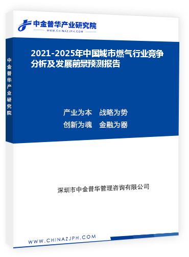 2021-2025年中國城市燃?xì)庑袠I(yè)競爭分析及發(fā)展前景預(yù)測報告