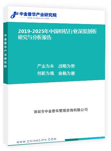 2019-2025年中國柑桔行業(yè)深度剖析研究與分析報(bào)告