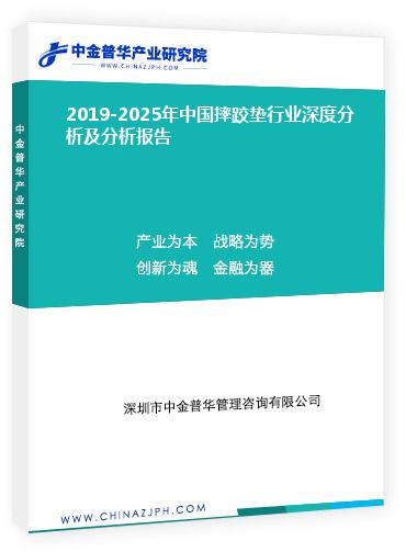 2019-2025年中國摔跤墊行業(yè)深度分析及分析報(bào)告